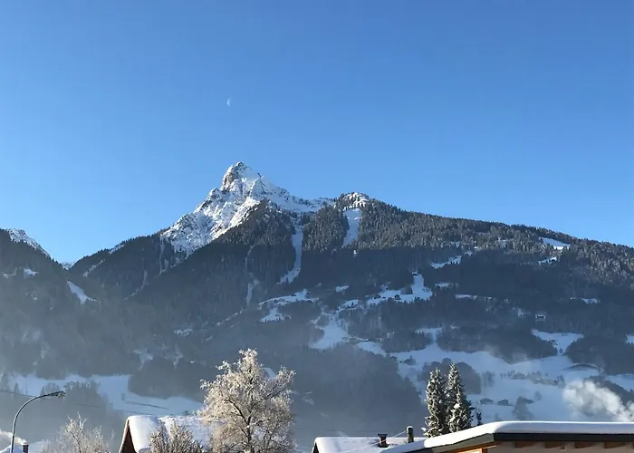 Διαμέρισμα Gaestehaus Gschwendtner *